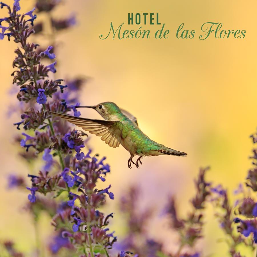 ארמניה Hotel Meson De Las Flores מראה חיצוני תמונה