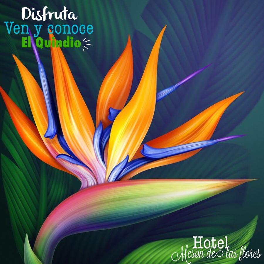 ארמניה Hotel Meson De Las Flores מראה חיצוני תמונה